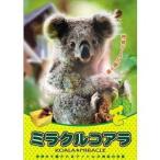 ミラクル コアラ 【DVD】
