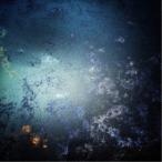 Chihei Hatakeyama／Heavy Snow 【CD】