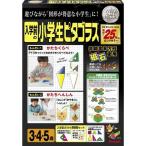 入学前の小学生ピタゴラス おもちゃ こども 子供 知育 勉強 0歳7ヶ月