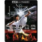 里見八犬伝 4K Ultra HD Blu-ray (Ultra HD Blu-ray +Blu-ray 2枚組