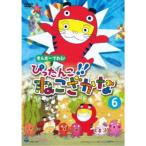 国内盤DVD] きんだーてれび ぴったんこ!! ねこざかな (6) - 最安値