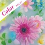 門田しほり／Color 【CD】