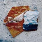 Shingo Mimura／Heart Sky Door 【CD】