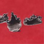 Blackganion／THIRD 【CD】