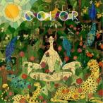 majiko／COLOR(限定盤) (初回限定) 【CD+DVD】