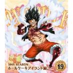 ONE PIECE ワンピース 19TH