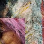 Merzbow／Environmental Percussion Vol.2 【CD】