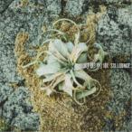 SIX LOUNGE／幻影列車 (初回限定) 【CD+DVD】
