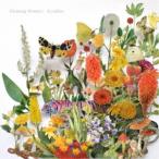 fryadlus／Floating Wonder 【CD】