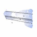 Tobias Wilden／Piano Sketches ／ Spark and the Wither 【CD】