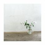 adagio／adagio 【CD】