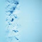 ECHO COLLECTIVE／THE SEE WITHIN 【CD】