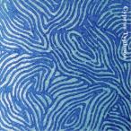 太田惠資・坪口昌恭・西村雄介・藤掛正隆／Cyprus Typhoon 【CD】