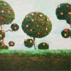 MIDNIGHT SISTER／PAINTING THE ROSES 【CD】