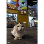 Yahoo! Yahoo!ショッピング(ヤフー ショッピング)岩合光昭の世界ネコ歩き チリ 【DVD】