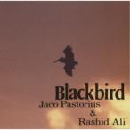 jako* Pas Tria s~lasido* есть | Blackbird [CD]