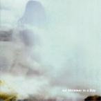 My Lucky Day／All Shimmer in a Day 【CD】