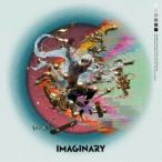 MIYAVI/Imaginary《限定A盤》 (初回限定) 【CD+DVD】