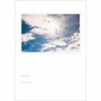 坂本美雨／birds fly (初回限定) 【CD+Blu-ray】