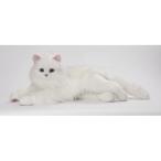 �����ۂӂ�ӂ� ���܂���ڂ��˂�����񂨂����� ���ǂ� �q�� ���̎q �ʂ������