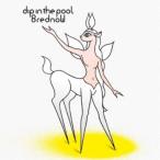 dip in the pool／8 red noW 【CD】