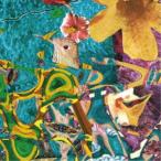 Merzbow／Janus Guitar 【CD】