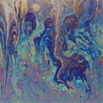 Floating Points／Crush (期間限定) 【CD】
