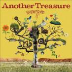 カミナリグモ／AnotherTreasure 【CD】