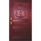 真夜中にハロー！《完全生産限定盤》 (初