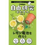 ショッピング自由研究 自由研究おたすけキット レモン電池を調べようおもちゃ 雑貨 バラエティ