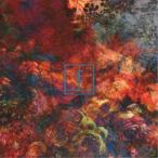 フレイル・ボディ／アーティフィシャル・ブーケイ 【CD】