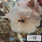 *slown Mason|KALINE20EDYRK23 Irregular function Akari OKUMURA logZ [CD]