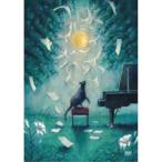 �����V�J�^�����V�J LIVE�u���ƔL�̃_���X�v�s�ʏ�Ձt �yDVD�z