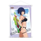  оригинал TV аниме [... departure балка n Bray балка n]B2 гобелен трещина ki* rio u