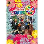  музыка. книга с картинками kalipso[DVD]
