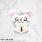 とっとこハム太郎 PlayCharm こ