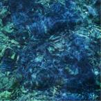 青葉市子／Luminescent Creatures 【CD】