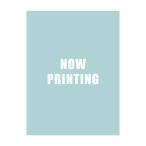 ガンダムデカールNo.142 機動戦士ガンダムSEED FREEDOM汎用(2) (プラモデル)