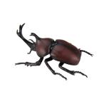 自由研究シリーズ いきもの編 カブトムシ 【自由研究21】 (プラモデル)