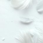 ショッピングis03 アブソプ／ボクの心臓が止まっても最後にきっとキミの名前を呼ぶんだ 【CD】