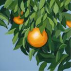 タイラー・ボールゲーム／For the 