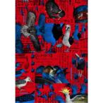 『シナントロープ』Blu-ray Box 【Blu-ray】