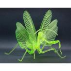 自由研究シリーズEX いきもの編 オオカマキリ 特別仕様(クリアーグリーン) 【自由研究23EX-2】 (プラモデル)