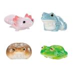  Bandai (BANDAI).. блеск . клей f линзы (12 штук ) Shokugan *chu- in жевательная резинка игрушка ... ребенок Shokugan 
