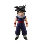 S.H.Figuarts 『ドラゴンボールZ』 孫悟飯〈Z戦士〉(初回限定〈Z戦士〉集結台座A付属版) (塗装済み可動フィギュア)