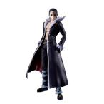 S.H.Figuarts �wHUNTER�~HUNTER�x �N���� (�h���ς݉��t�B�M���A)
