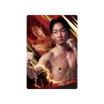  Bandai (BANDAI) RIZIN twin вафли *26 (20 штук ) Shokugan * вафли (. кондитерские изделия )2 листов (RIZIN)(BOX) игрушка ... ребенок Shokugan 