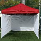��������� W300�~H210 �^�[�v�e���g�p L300WALL �L�����o���e���g CARAVAN