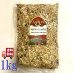 2個セット アリサン 有機 アップル・レーズン・くるみ グラノラ 1kg 有機JAS フルーツ グラノーラ 朝食 シリアル オーガニック 無添加