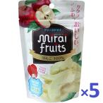 5個セットミライフルーツりんご12...